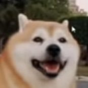 Andy's profile picture