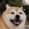 Profilbild von Andy