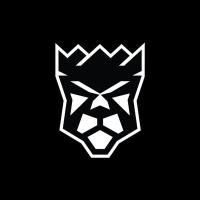 KingsGuardGG's profile picture