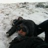 Уулчин's profile picture