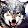 EYYÜP G.'s profile picture