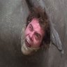 Horseysaucelover Fat's profile picture