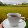 Penikmatkopisususachetan 的头像