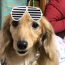 ワンライト 的头像