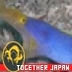 うつぼ 的头像