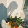 Фото профиля Nazhin loves ☀️BW🐰 🖤// busy era//