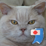 Profilbild von 🇯🇵mon is British❤️🇺🇸🇮🇹🇬🇧🇳🇪🇹🇼🇦🇺🇯🇵