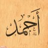 Ahmed 🇦🇹🏹🇪🇬's profile picture