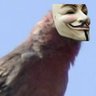 العلم's profile picture