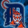 DetroitTigerFan 的头像