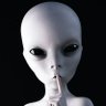 Paranormal Night Shift profil fotoğrafı