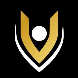 TeamVKTRY's profile picture