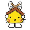 kiffy 的头像