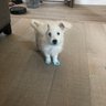 Sj profil fotoğrafı
