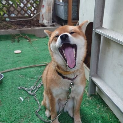 jpubglTtvqFciPJ's profile picture