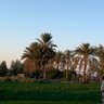 أبو محمد profil fotoğrafı