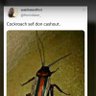 Profilbild von Ejimsjr002