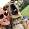 Bordercollielove and a mastiff x too. profil fotoğrafı