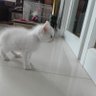 ดินสอสี profil fotoğrafı