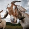 Goto Rinehwema's profile picture
