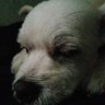 Profilbild von mish