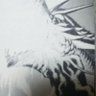 デネバヤネ's profile picture