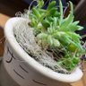 ゆ〜だい 的头像