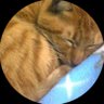 あかねいろ♪'s profile picture