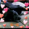MISAO☆'s profile picture