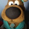 Little Angel's profile picture