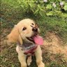 ezrn profil fotoğrafı
