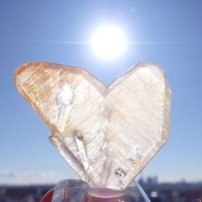 信一商事@8/7-8/9サンマリー新着セール's profile picture