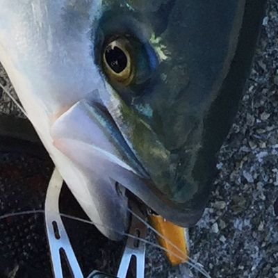marr81271558's profile picture
