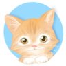 mozoもぞ profil fotoğrafı
