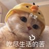 Фото профиля 大大的罐头