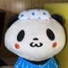 横須賀流星群 profil fotoğrafı