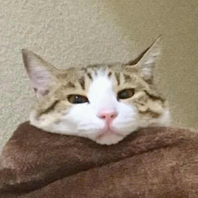 みその's profile picture