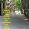النوار العلوي's profile picture