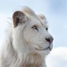 Фото профиля AnnieGau71