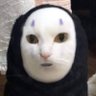 DoTaTo 的头像