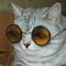 Profilbild von George.R50