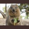 Benfart profil fotoğrafı