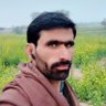 Jawar Shah's profile picture