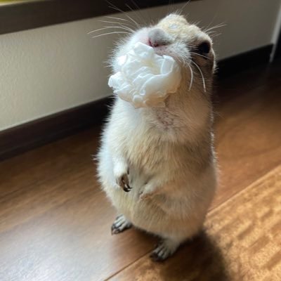 mrtrlxir1346's profile picture