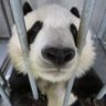 純 profil fotoğrafı