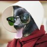 Profilbild von Family_Jewelzz