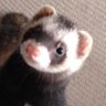 りっちゃん@SGI's profile picture