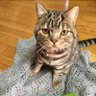 みお母 的头像