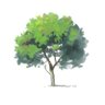 iyg429's profile picture