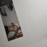 長宗我部弘樹 profil fotoğrafı